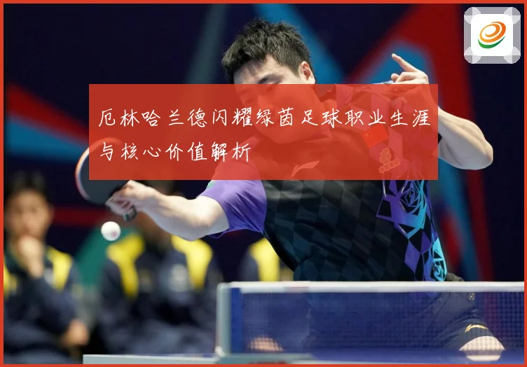 厄林哈兰德闪耀绿茵足球职业生涯与核心价值解析